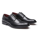 納爾遜真皮雕花皮鞋 Nelson Leather Brogues Shoes KN25011