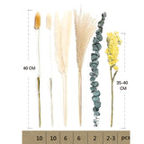 37PCS Natural Pampas Grass Mix Bouquet, Dried Pampas Bouquet for Home Table Decor 37 件天然潘帕斯草混合花束，幹潘帕斯花束，適合家居餐桌裝飾 KCHM1149