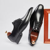 布里克斯頓真皮德比皮鞋 / Brixton Leather Derby Shoes KN25025