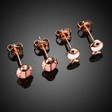 Rose Gold Fish and Ladybug Earrings - 2 pairs  玫瑰金魚和瓢蟲耳環 - 2對